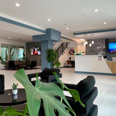 Garden Hotel Miami Airport, Trademark Collection By Wyndham Miami Springs Luaran gambar